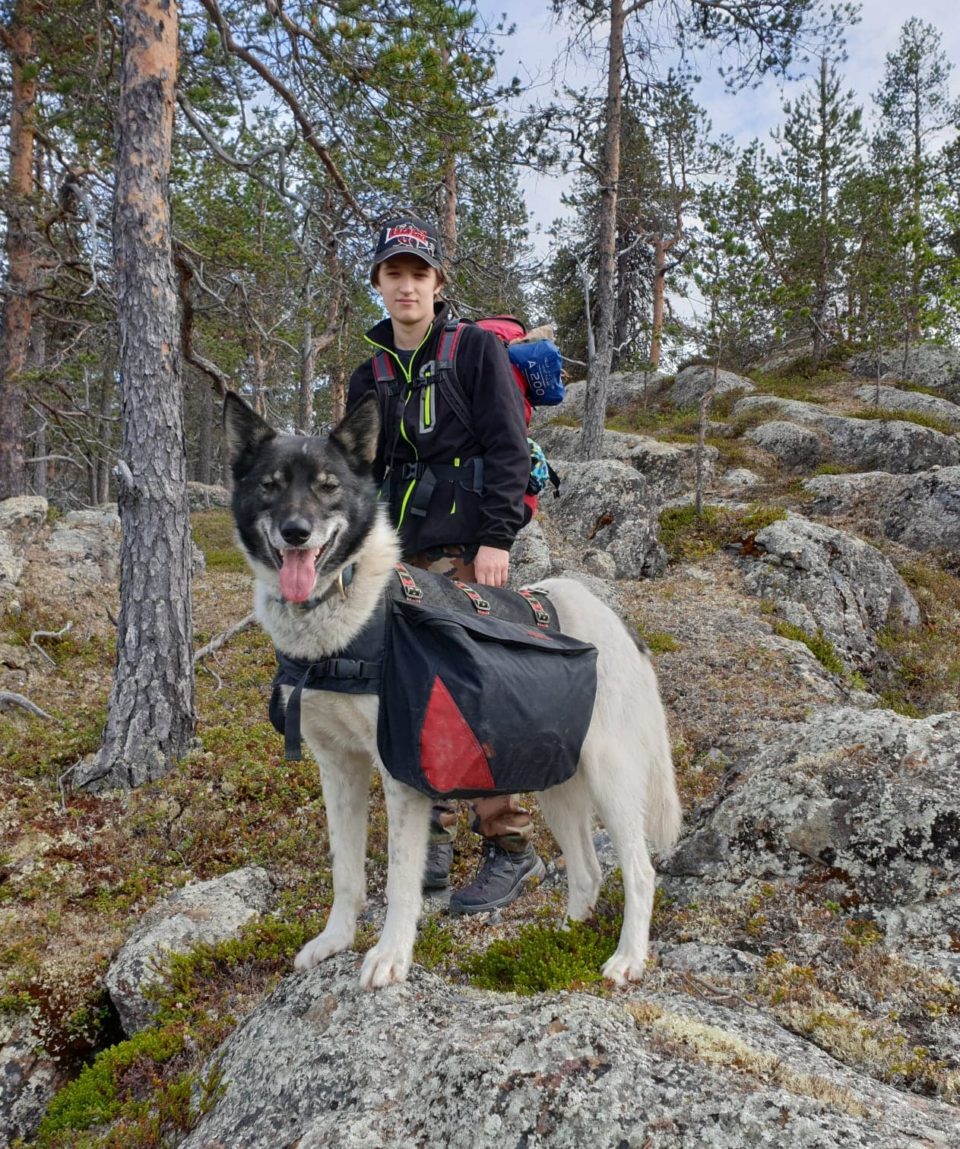 hiking with huskies